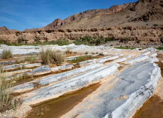 Wadi Al Arbeiee